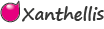 Xanthellis - Développeur d'application Web